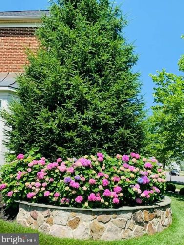 19376 Ml Dm Pl, Leesburg VA 20176-1637 exterior