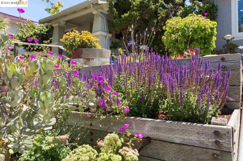 3834 Everett Ave, Oakland, CA 94602-1765