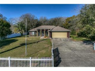 17810 Livingston Ave, Lutz, FL 33559-5851