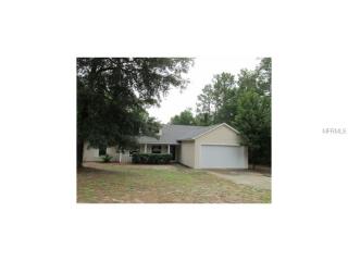 25851 Aberdovey Ave, Mount Plymouth, FL 32776-9299