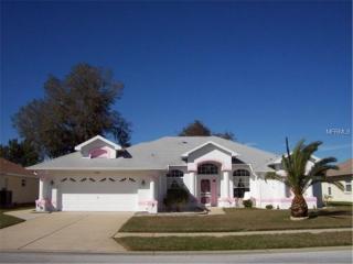 9105 Robin Nest Dr, Port Richey, FL 34669-1899