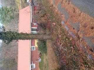 236 Cherry Ct, Blountville, TN 37617-3624