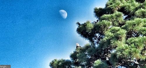 1578 Royal Way, Montross VA  22520-4045 exterior