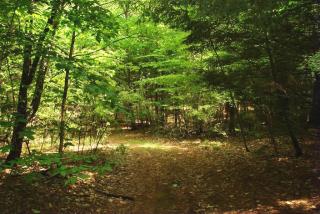 8 Old Turnpike Rd, Chichester NH  03234-4635 exterior