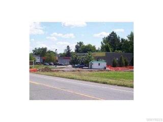 11300 Maple Ridge Rd, Medina, NY 14103-1816