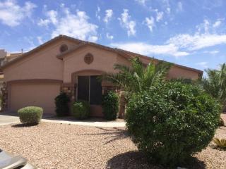 2539 Wildhorse Pl, Chandler, AZ 85286-1393