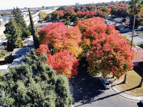 1325 Arrowhead Ct, Modesto CA  95351-1723 exterior