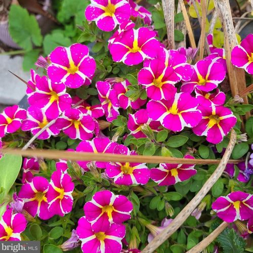 1139 Wilson Ave, Glen Mills PA  19342-9610 exterior