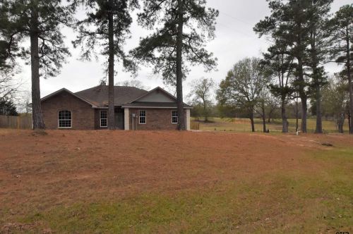11248 Fm 314, Brownsboro, TX 75756-6173