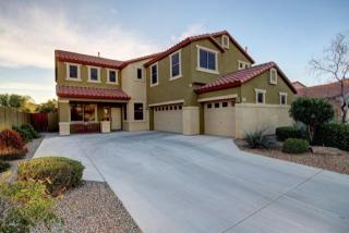 23225 40th Way, Phoenix, AZ 85050-8757