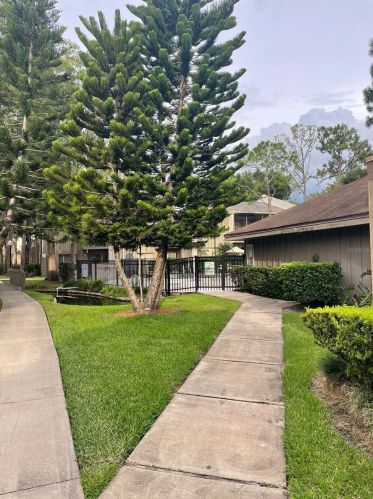 5418 Pine Creek Dr, Orlando, FL 32811-3728
