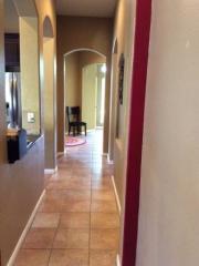 1505 Laurel Oak Loop, Round Rock TX  78665-3810 exterior