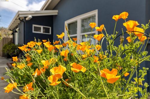 2557 Damuth St, Oakland, CA 94602-3011