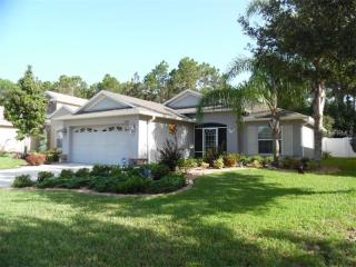 13903 Caden Glen Dr, Port Richey, FL 34669-5022