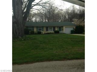 6333 Southgrove Rd, Concord Township, OH 44060-3445