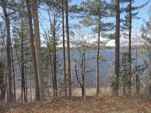 12041 Lakeside Dr, Suring, WI 54174-9781
