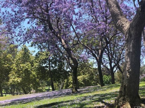 8 Arboles, Irvine CA 92612-2626 exterior