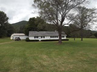 4529 Route 6, Stonyfork, PA 16901-8048