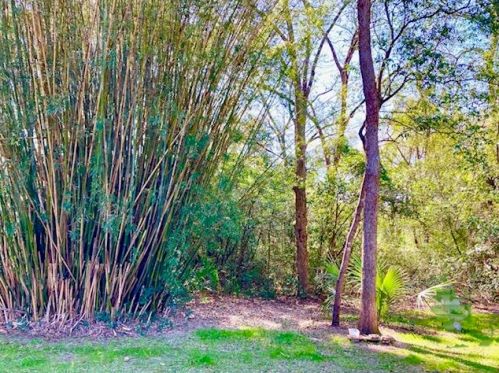 352 Park Ave, Defuniak Springs FL  32435-2611 exterior