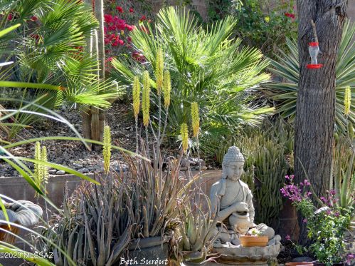 5221 Grouse Way, Tucson AZ 85742-9496 exterior