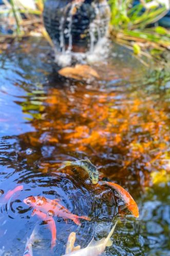 361 Copeland Cir, North Augusta SC  29860-8983 exterior