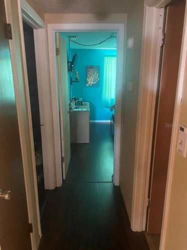 8653 Velvet Dr, Port Richey FL  34668-5538 exterior