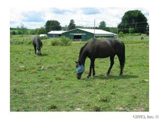 1238 North Rd, Otisco, NY 13159-9435