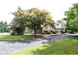 10924 Kinsman Rd, Newbury, OH 44065-9744
