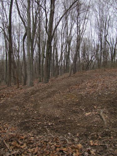 24480 Bushby Rd, Laurelville OH  43152-9712 exterior