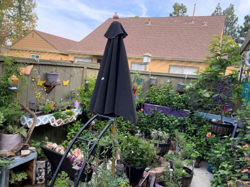 10513 Caminito Obra, San Diego CA 92126-2815 exterior