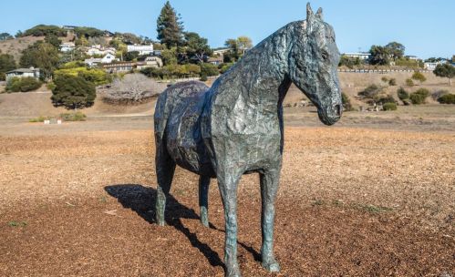 283 Cecilia Way, Tiburon CA  94920-2105 exterior