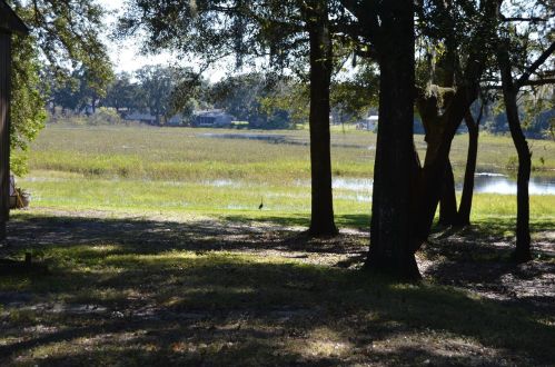 12848 Circle Lake Dr, Port Richey, FL 34669-2903