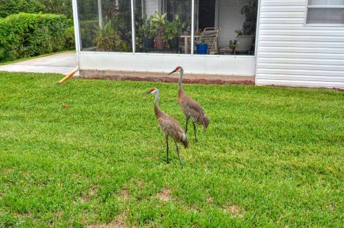 2800 Hook Ct, Fort Pierce, FL 34952-3185