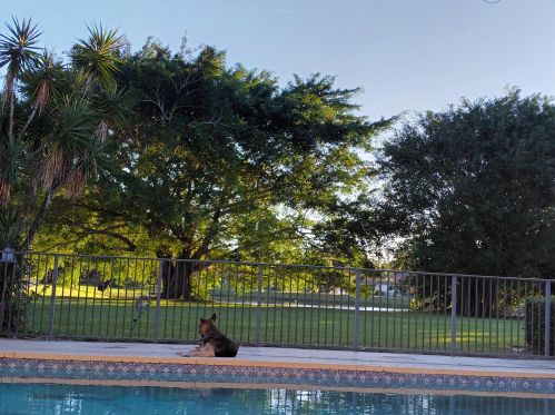 7807 Steeplechase Dr, West Palm Beach, FL 33418-7804