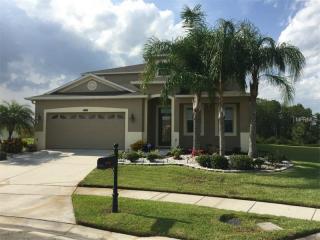 14200 Craftsbury Ct, Orlando, FL 32824-4235