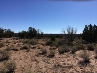 4525 Churchill Rd, Snowflake, AZ