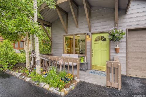 126 Vail Cir, Montezuma, CO 80435-8301