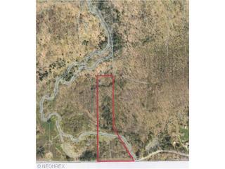 14337 Radcliffe Rd, Concord Township, OH 44024-9266