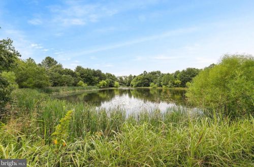 15843 Fourmile Creek Ct, Haymarket VA  20169-5427 exterior