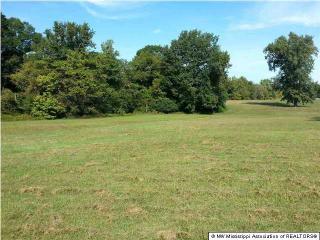 745 Centerpoint Dr, Mason, TN 38049-8209