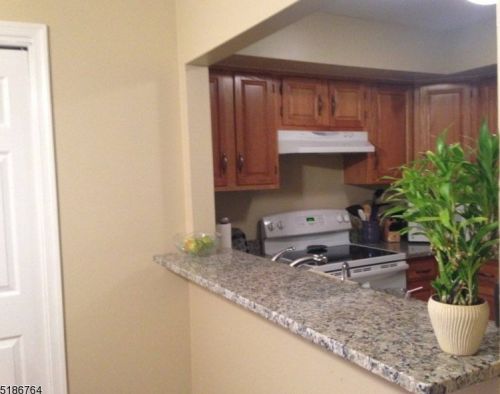 3 Pine Ct, Bedminster NJ  07921-1625 exterior