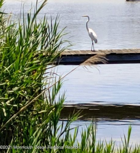 2510 Sylvan Dr, Point Pleasant Beach NJ  08742-4253 exterior