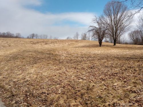 1251 Windsor Rd, Cheshire, MA 01225-9686