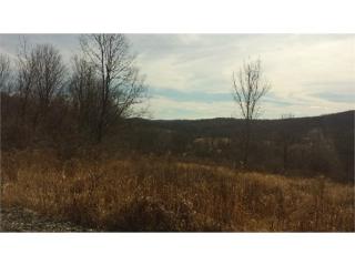 89 Sheppards Rd, Taghkanic, NY 12502-5304