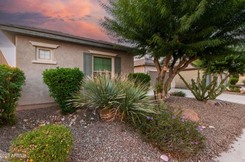 20318 273rd Ave, Buckeye, AZ 85396-6972