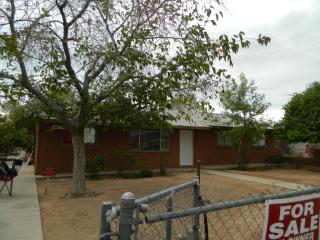 16020 Hollyhock St, Sun City, AZ 85378-4137