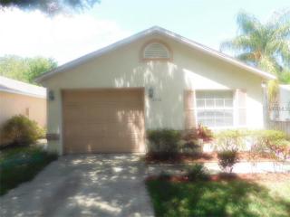 2216 Rose Brook Ct, Orlando, FL 32817-3414