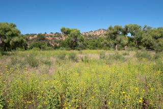 510 Vertholer Ln, Cornville, AZ 86325-5730