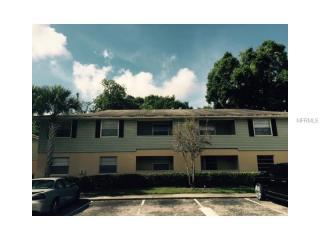 524 Golden Raintree Pl, Brandon, FL 33510-4318