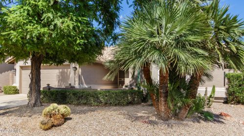 20347 109th Ln, Sun City, AZ 85373-2326